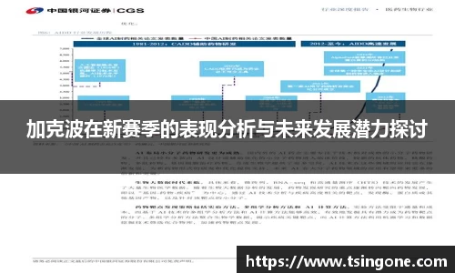 加克波在新赛季的表现分析与未来发展潜力探讨